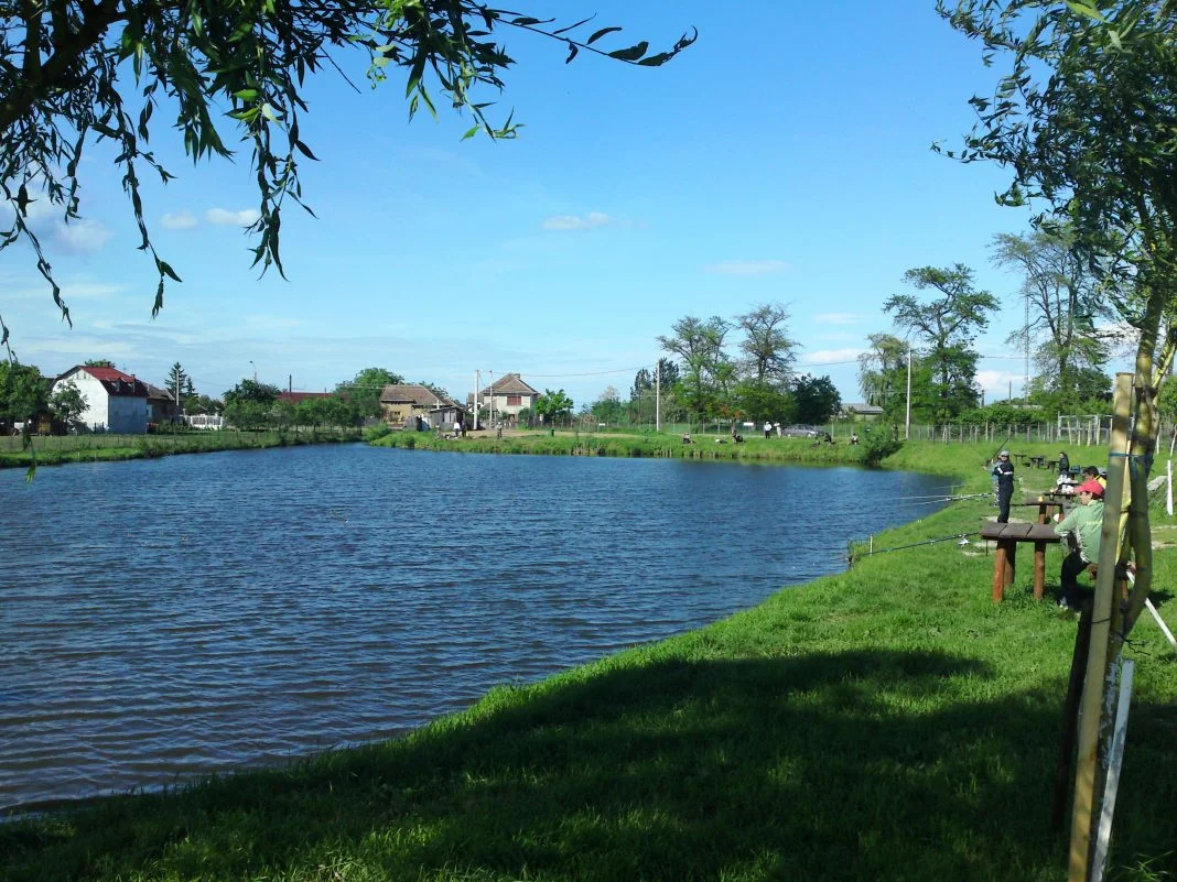 Balta lui Pinter - Carei