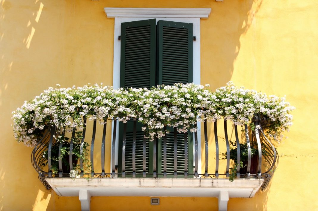 Florile ideale pentru decorarea balconului locuinței tale