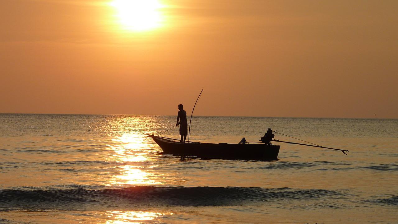 barci de pescuit