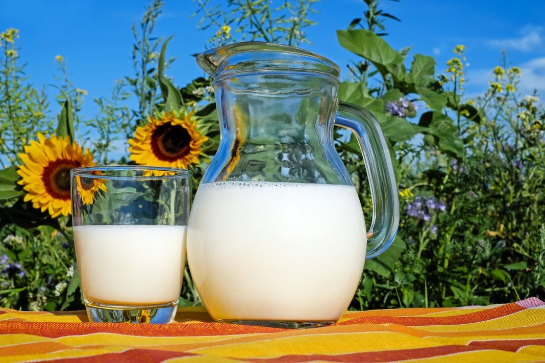 Ce băuturi pe bază de lapte sunt recomandate și ce beneficii au acestea