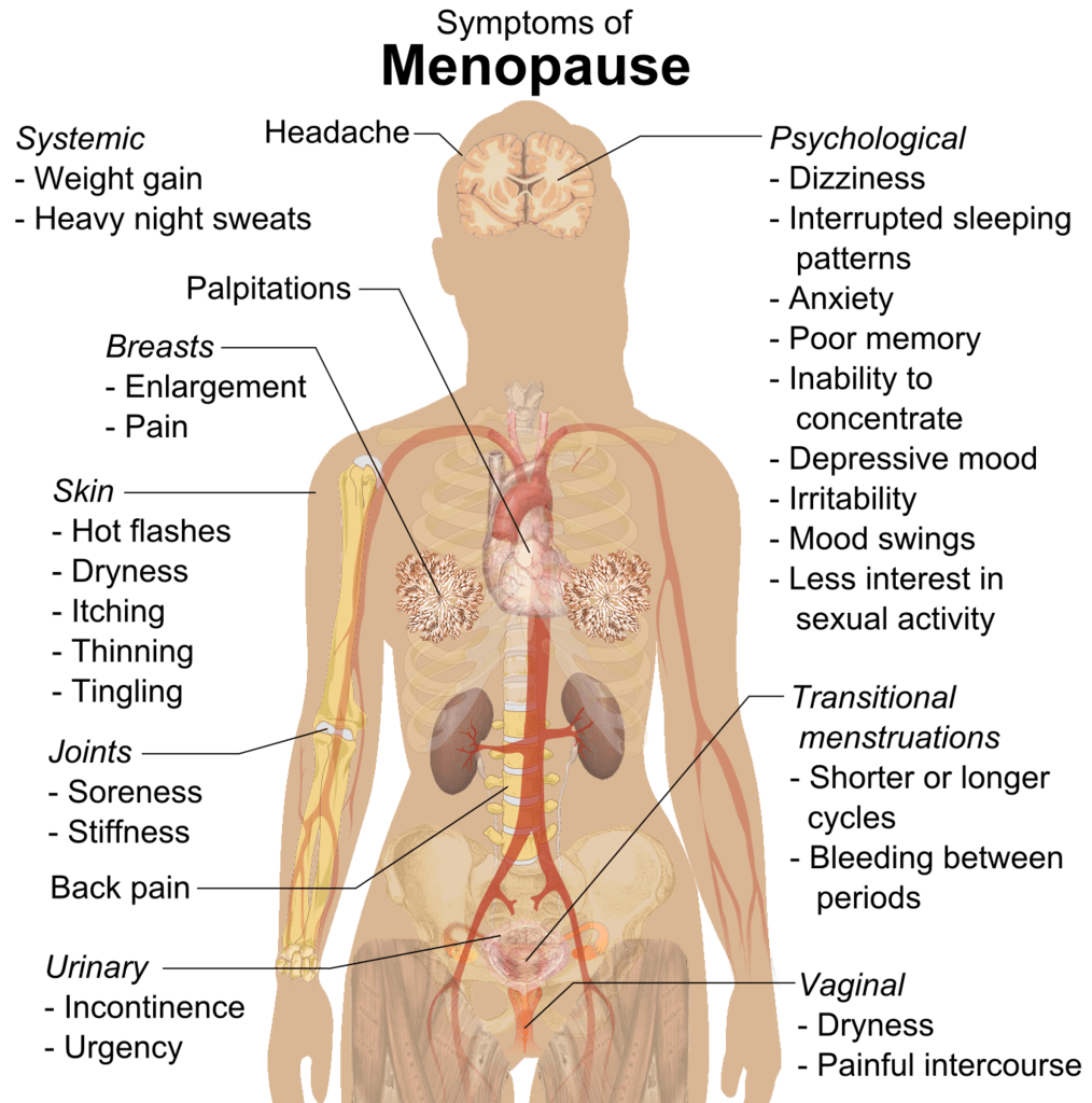 Simptomele menopauzei