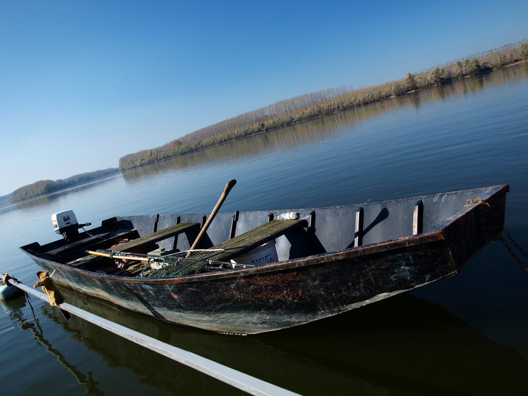 Pescuitul pe Dunăre, ce trebuie să știi despre peștii întâlniți aici
