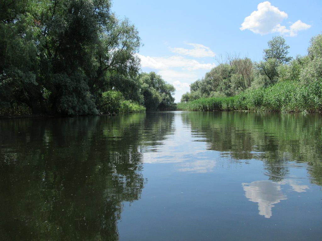 Canalul Crișan - Caraorman din Delta Dunării, un loc potrivit pentru pescuit