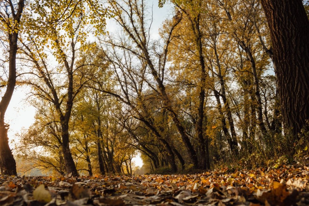 12 activități de timp liber pentru această toamnă, sfaturi și recomandări pentru distracție maximă