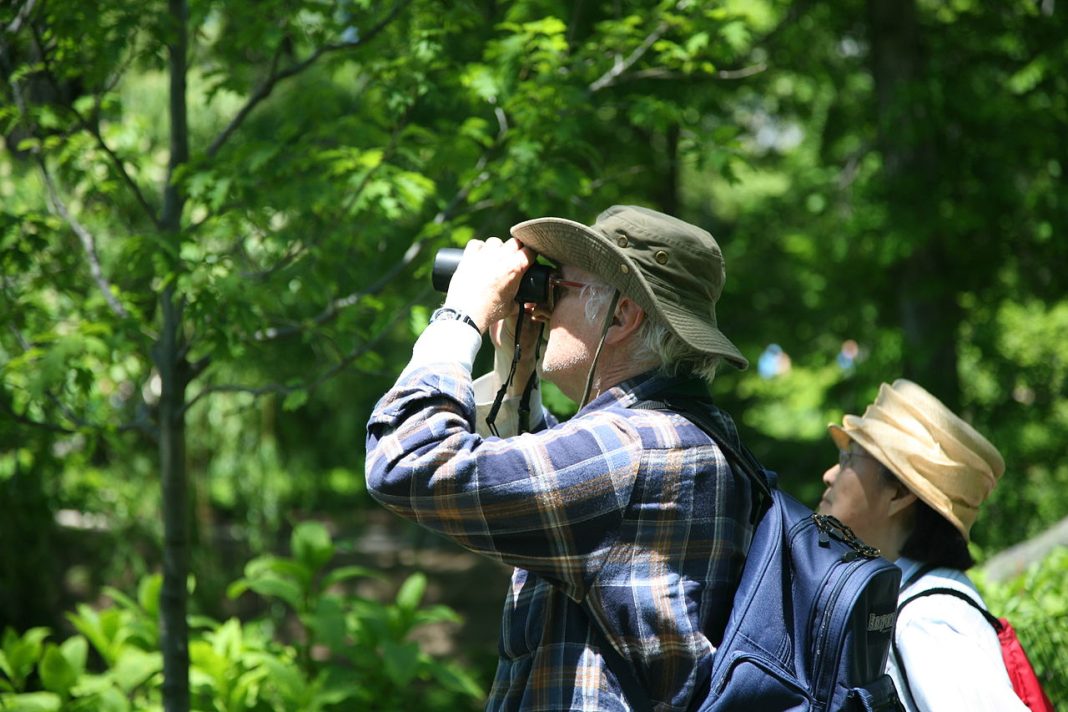 Hobby-uri pentru iubitori de știință și natură - citește recomandările noastre pentru câteva activități interesante