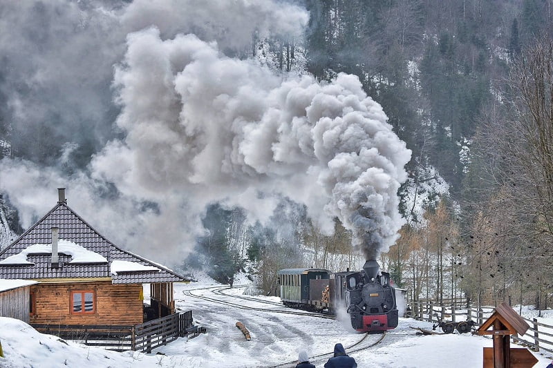 9. Mocanita pe Valea Vaserului