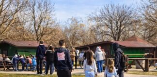 Ferme de vizitat cu copiii lângă București