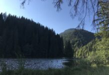 O drumeție de 4 ore pe Muntele Hășmașul – adevărata magie constă în liniște!