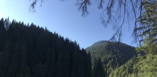 O drumeție de 4 ore pe Muntele Hășmașul – adevărata magie constă în liniște!