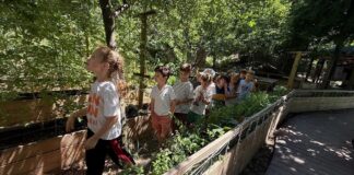 Karin’s Kids Academy Băneasa – grădinița din natură, departe de agitația junglei de beton